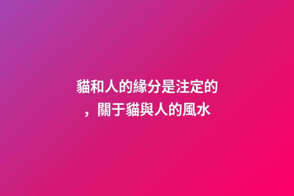 貓和人的緣分是注定的，關于貓與人的風水